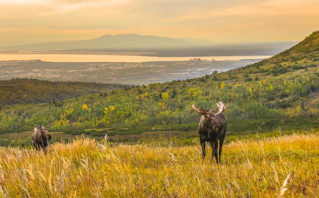 Chugach State Park