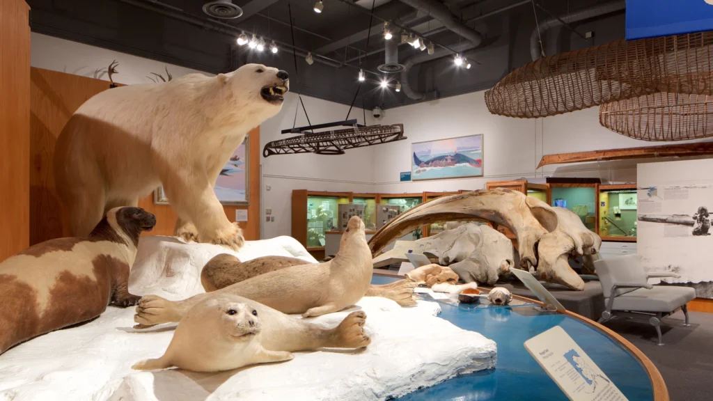 Museum of the North Fairbanks