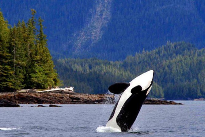 Ketchikan Misty Fjords Tour