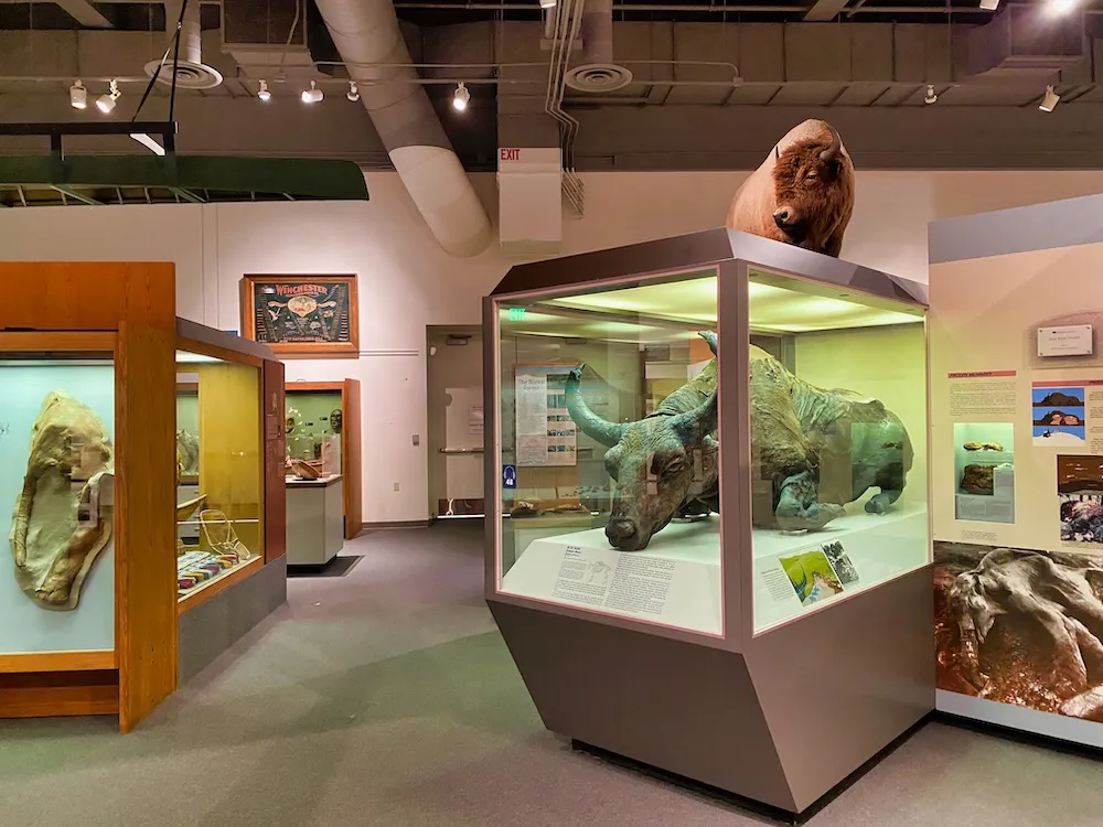 Museum of the North Fairbanks