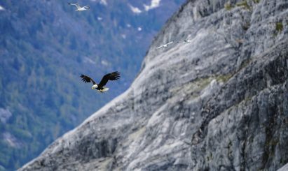 Ketchikan Misty Fjords Tour
