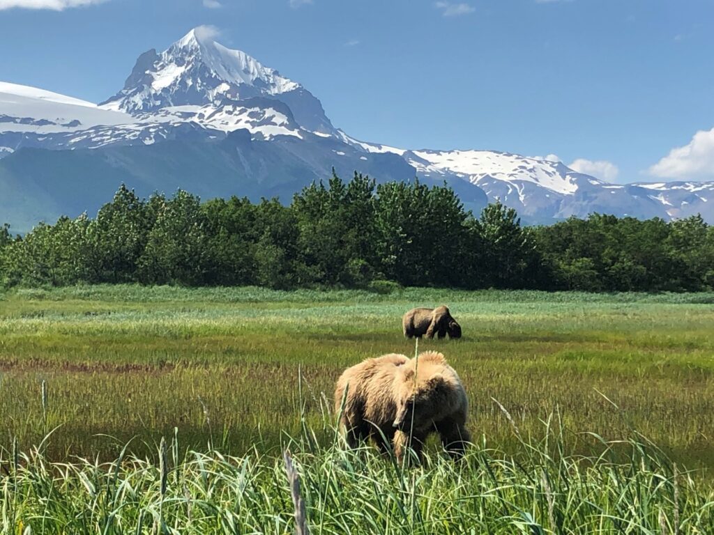 Homer,Alaska