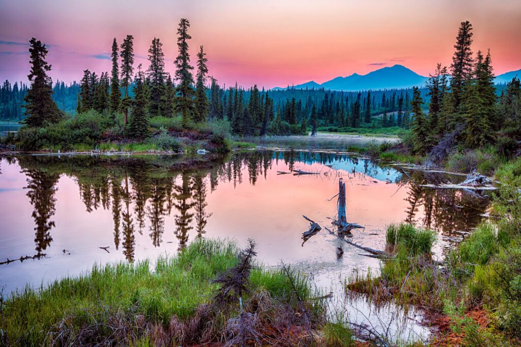 Wrangell-St. Elias National Park
