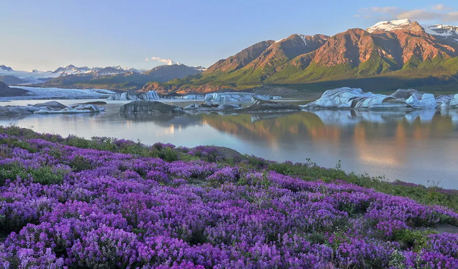 Wrangell-St. Elias National Park