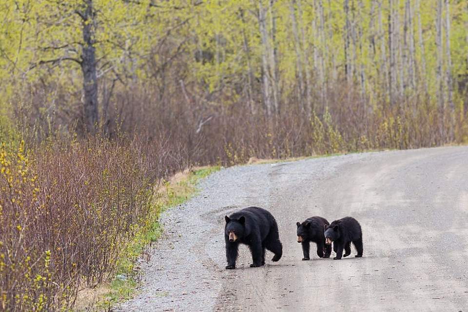 Chugach State Park