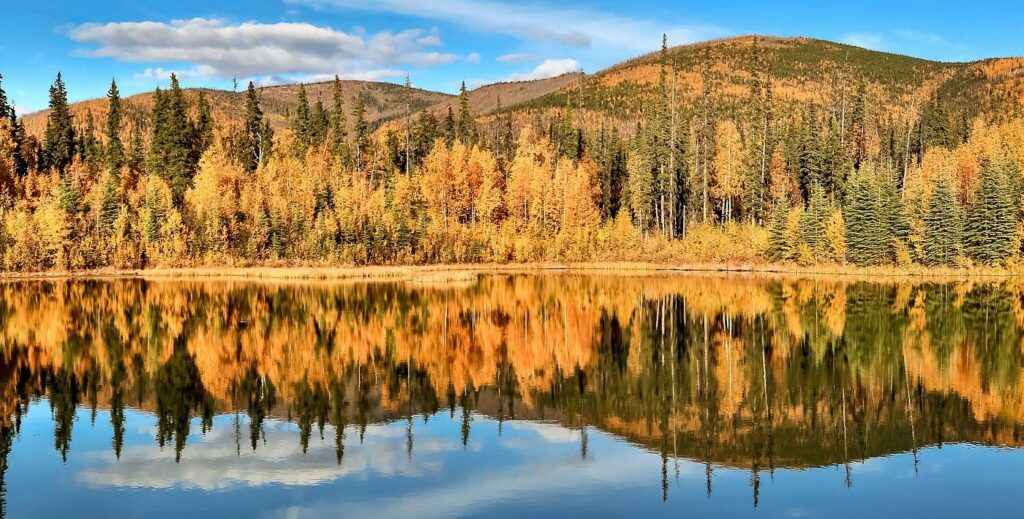 Fairbanks
