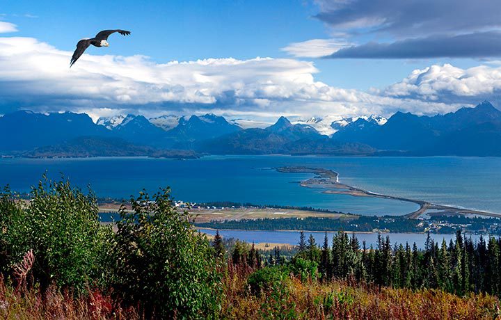 Homer,Alaska